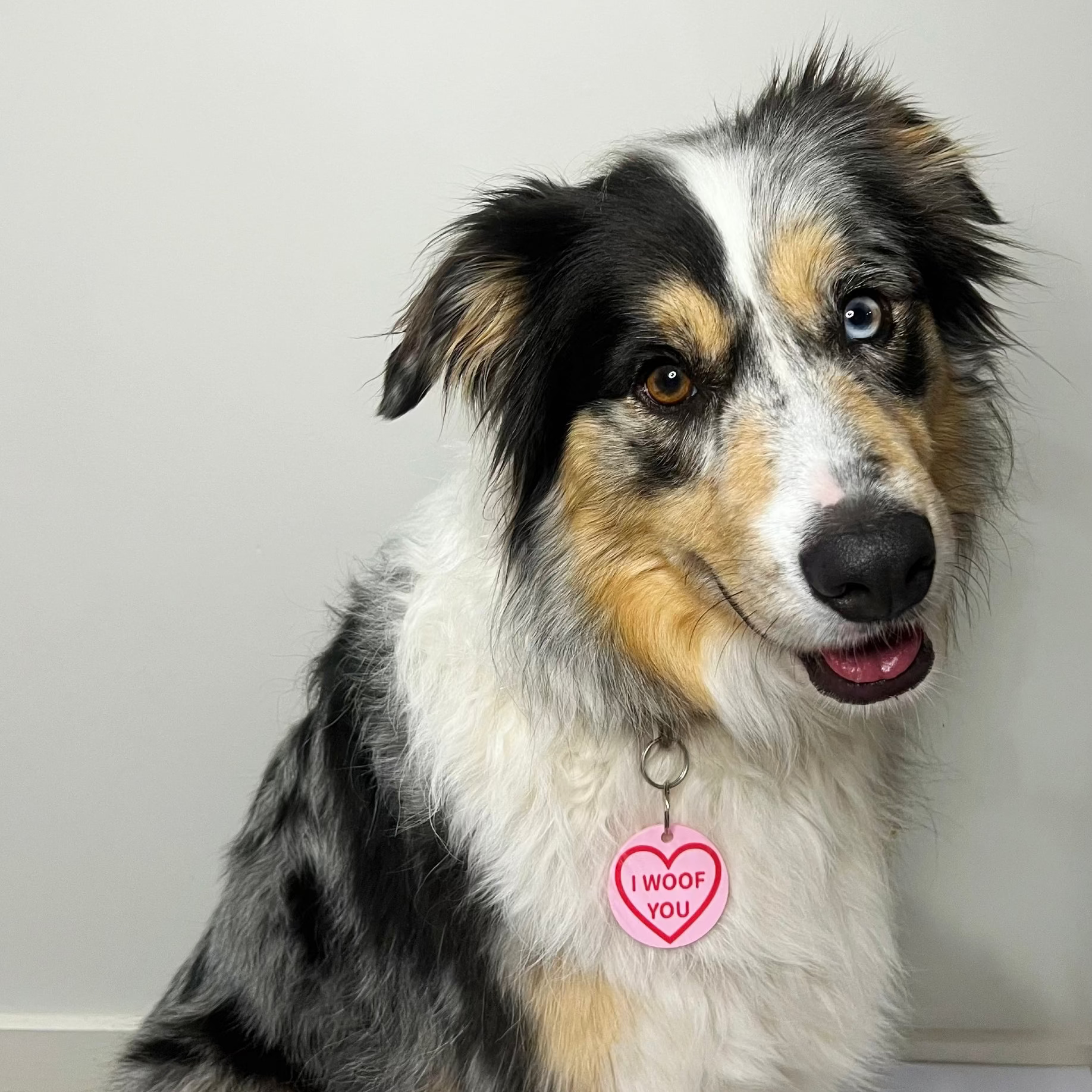 Candy Hearts Dog Tag