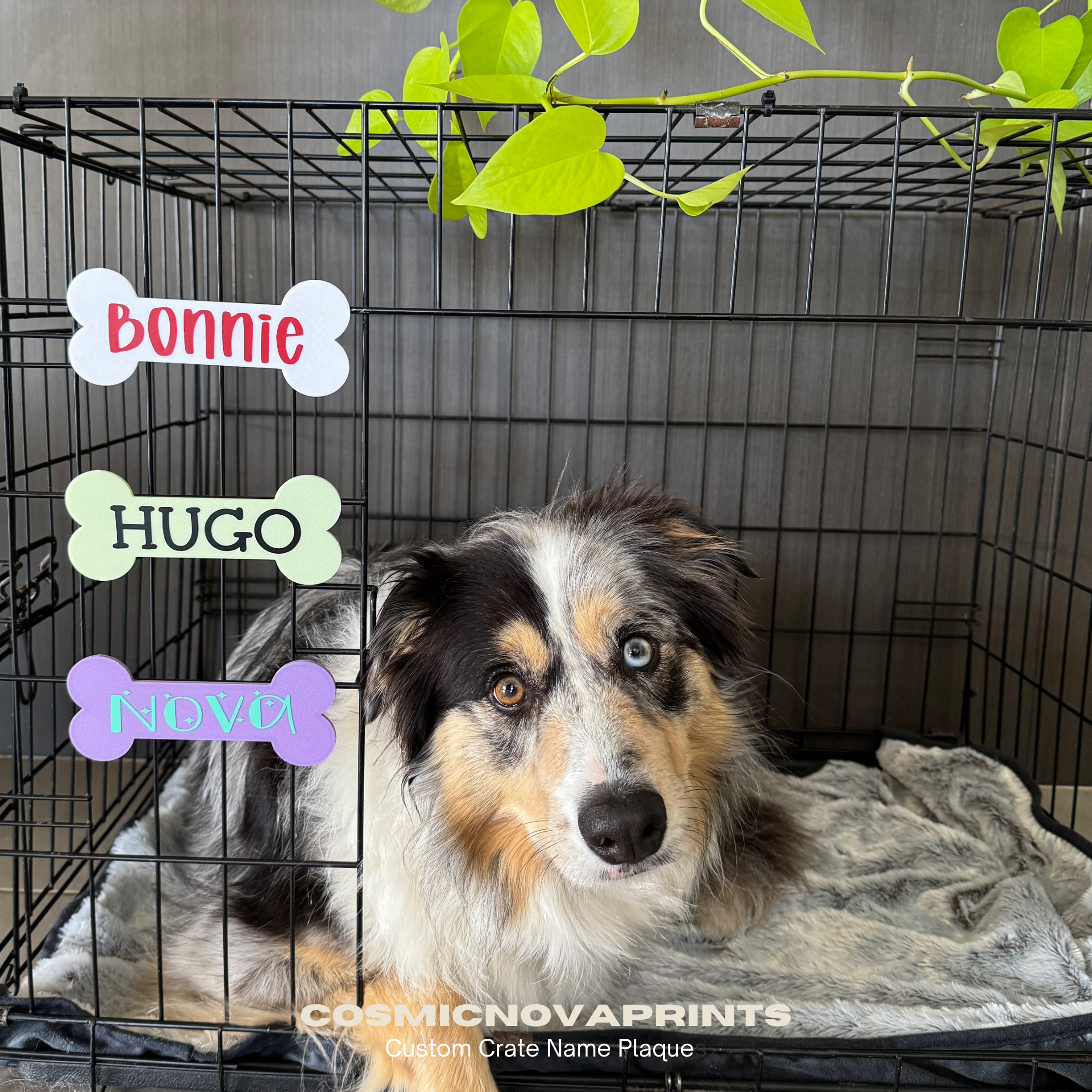 Custom Crate Name Plaques