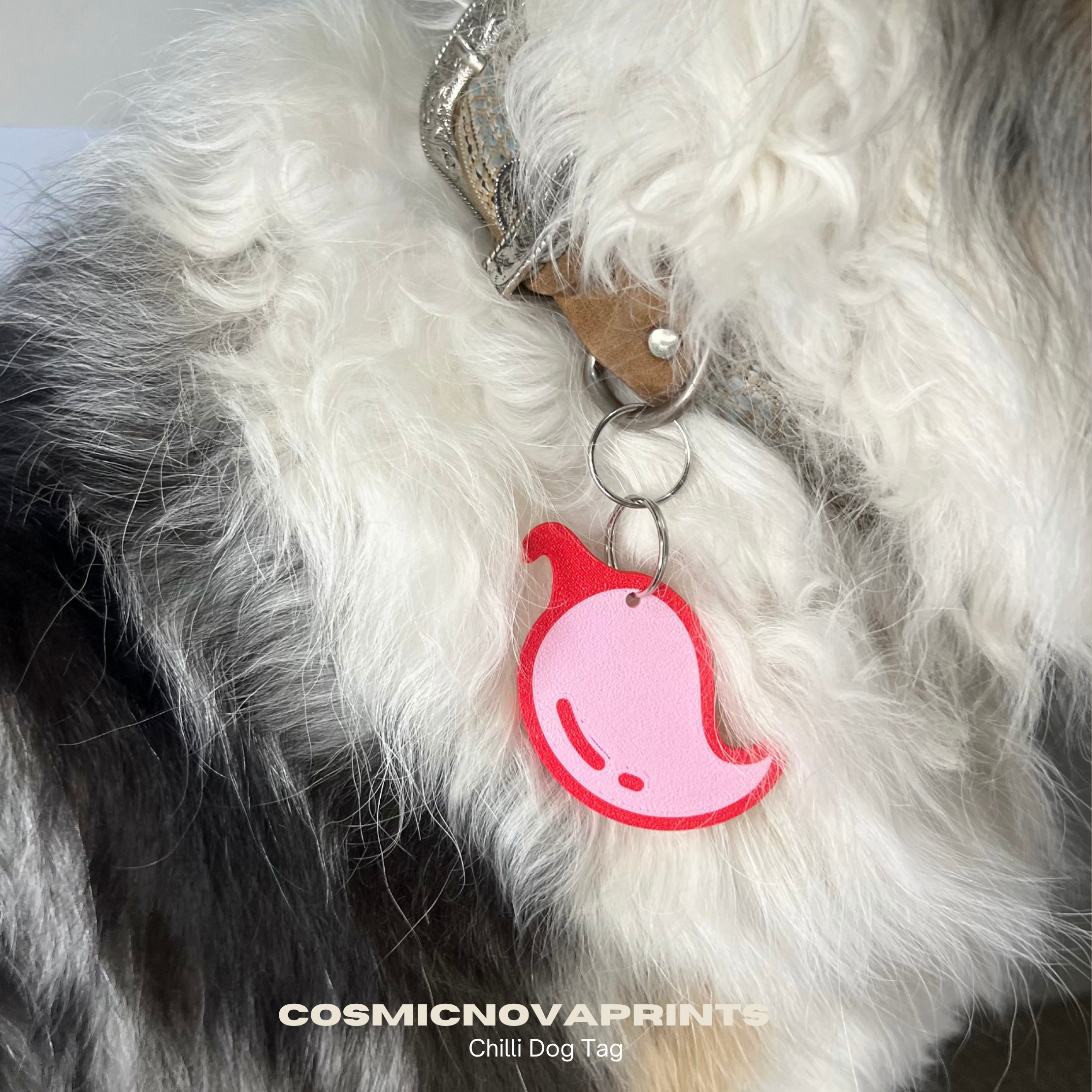 Chilli Dog Tag