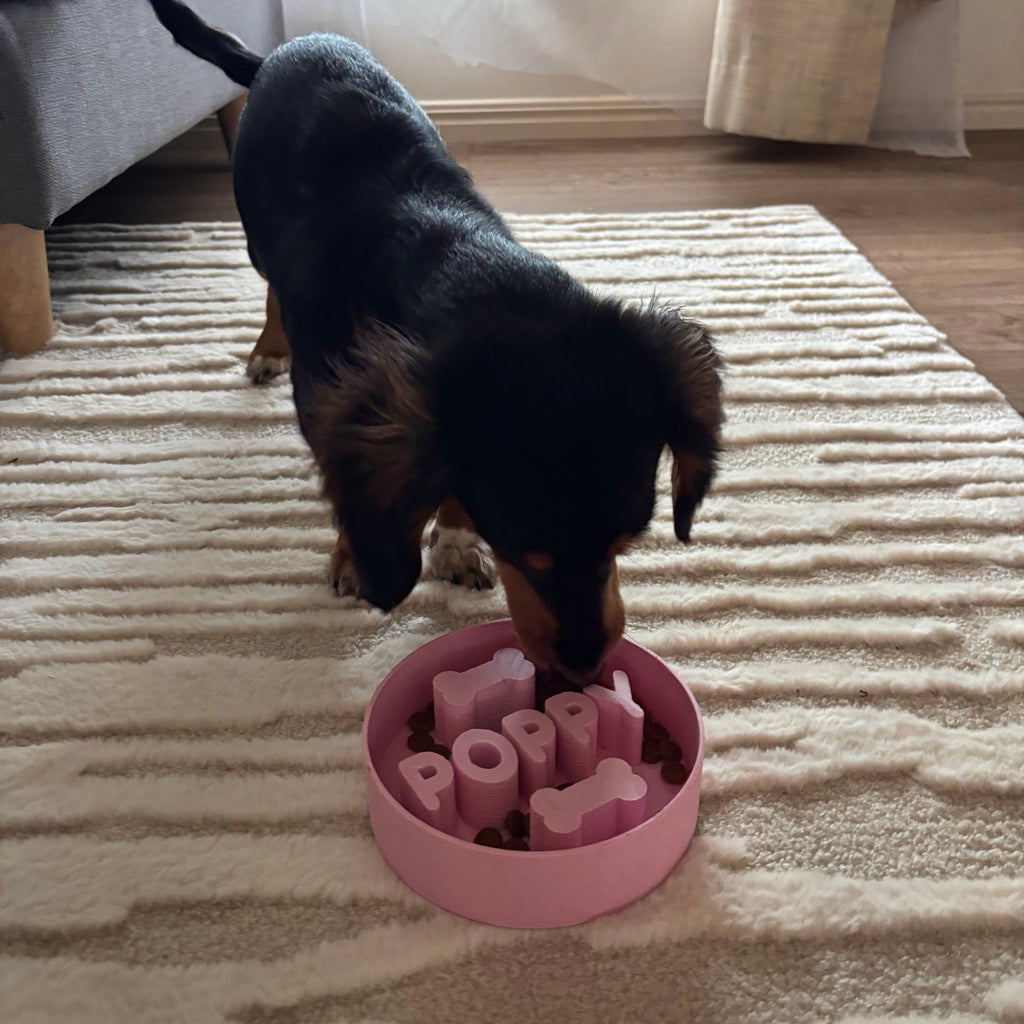 Slow Feeder