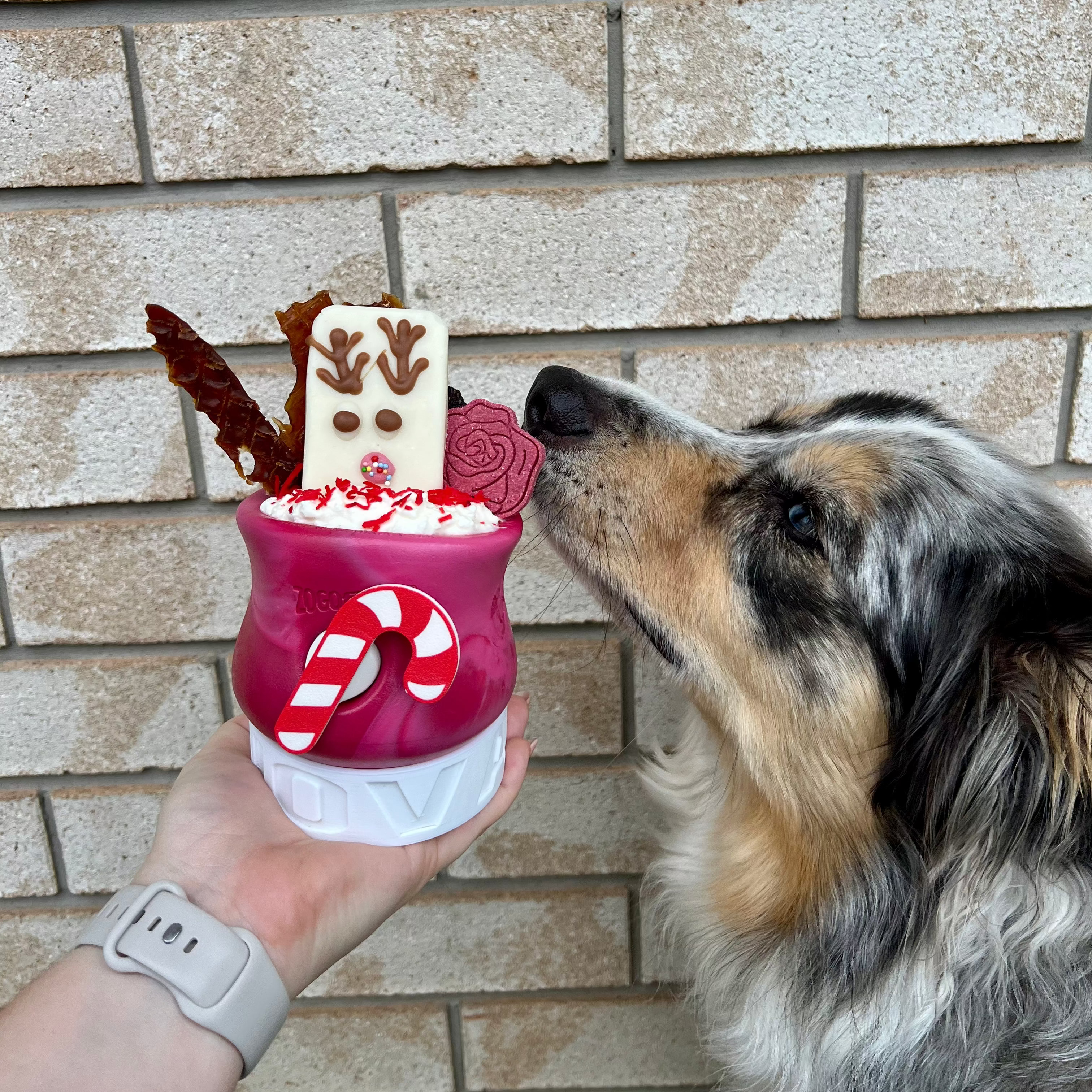 Candy Cane Toppl Plug