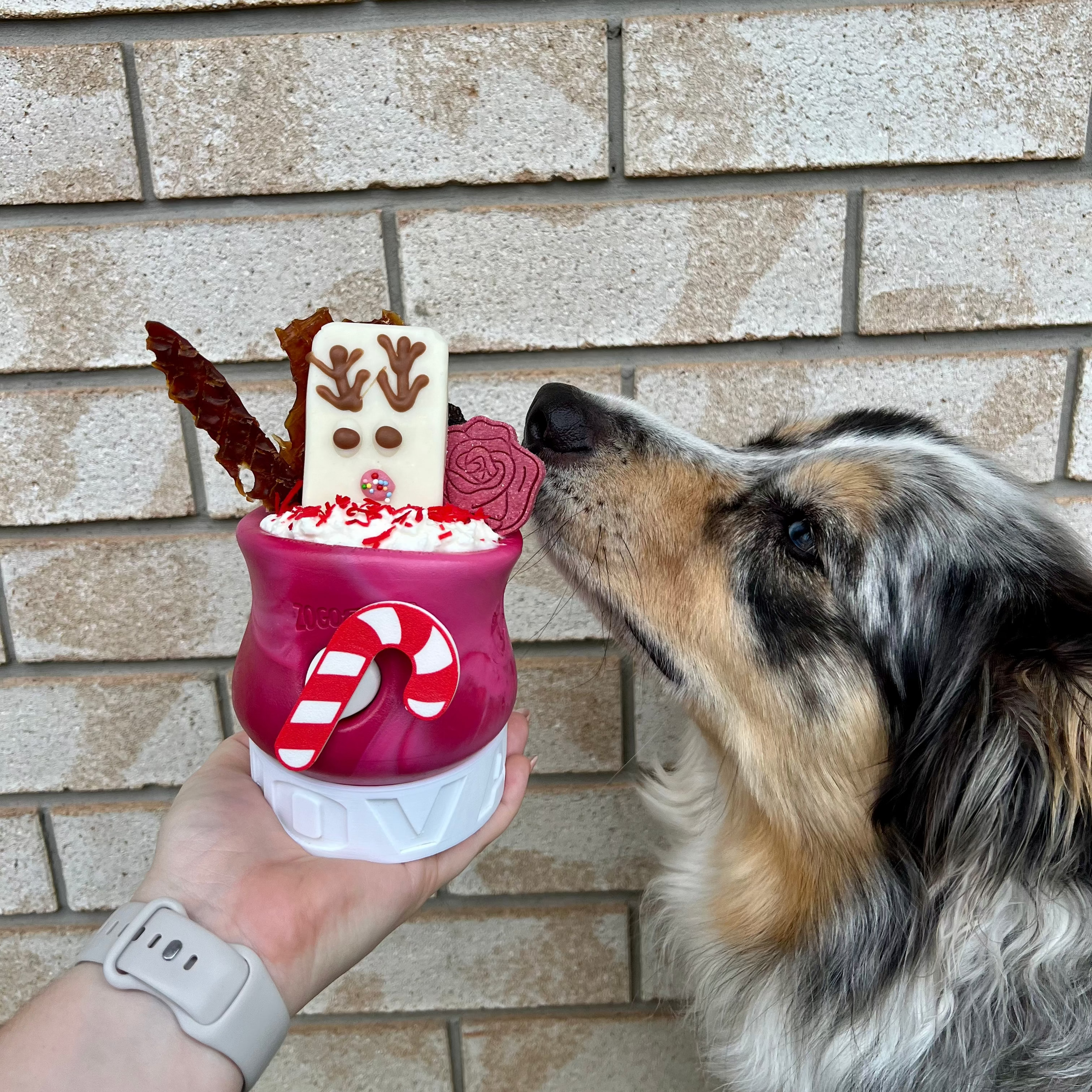 Candy Cane Toppl Plug