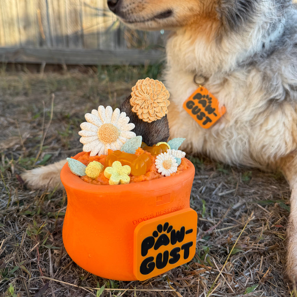 Pawgust