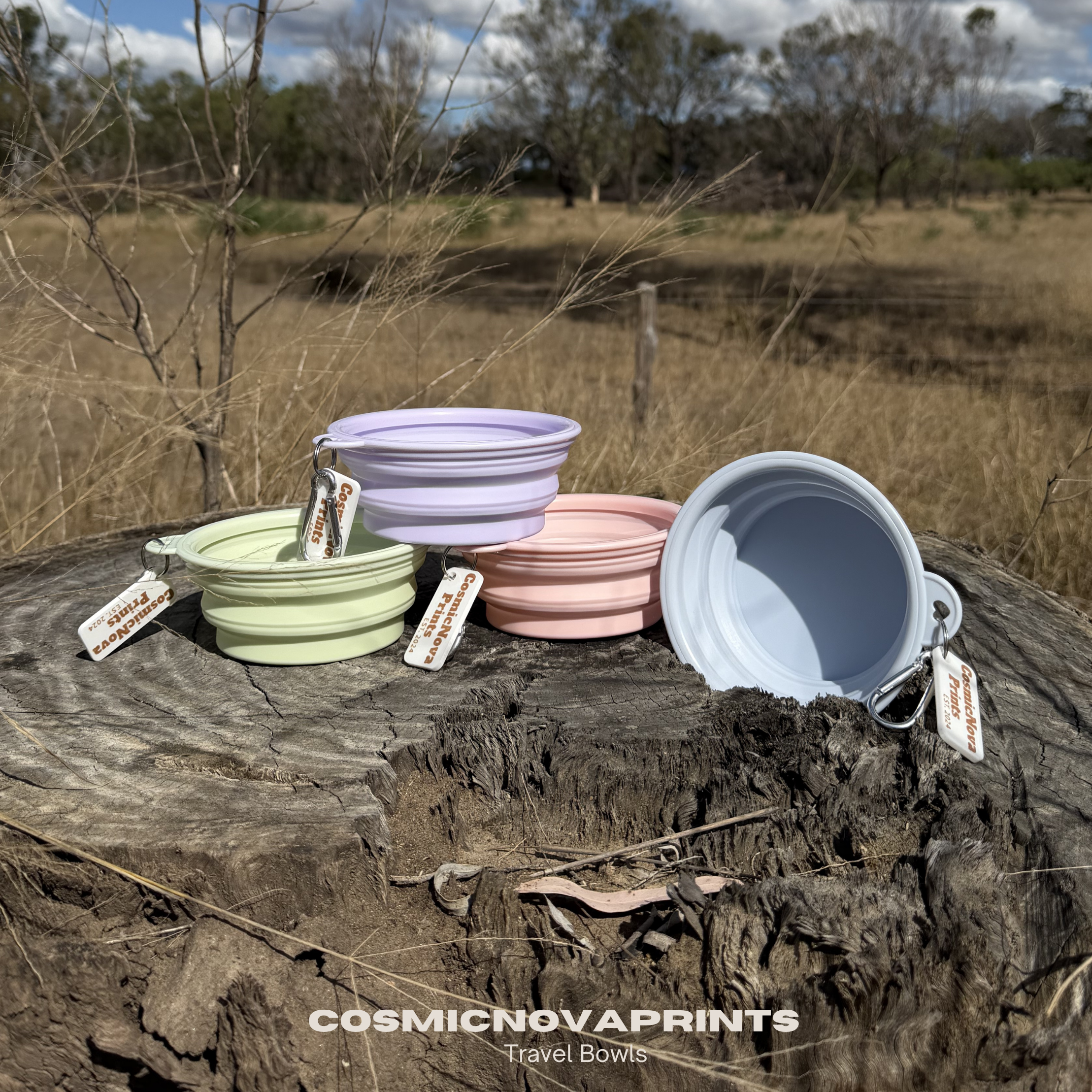 Travel Bowls